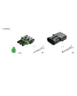 Delphi P-WP3/2 3 Circuit Weather-Pack 2 Pack Kit